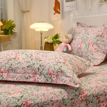 Less girl full cotton pillowcase pure cotton pillowcase Double single student Dormitory Pillow Core Cover 48x74cm pair of clothes