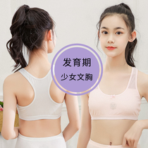 Girl Underwear Child Bra Elementary School Childrens Pure Cotton Hair period Girl Swipe up CUHK Boy Vest Girl 9-15 years old