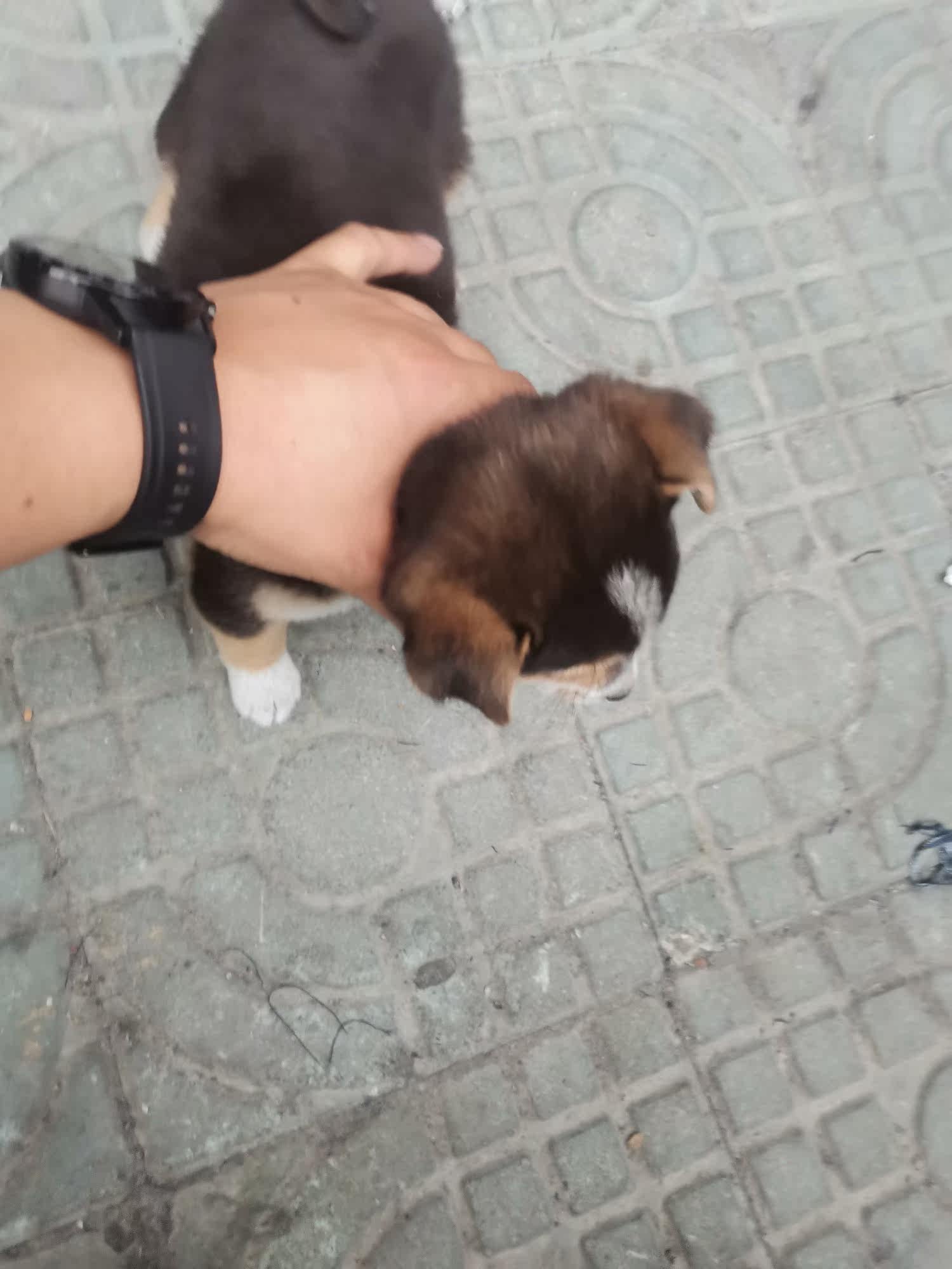 Фото отзыва