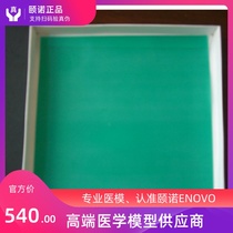 ENOVO suture practice model Oral mucosal simulation skin