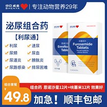 Frequent urination in cats blood in urine urinary tract infection diuresis cat and dog urinary system urethritis pet anti-inflammatory drugs stones