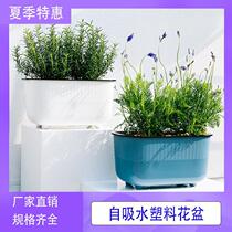 Planting box thickened balcony planting vegetable pot creative green planting trough rectangular indoor household vegetable pot flower plate