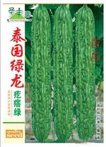 Shouguang Pimple Green Bitter Melon Seeds Thailand Green Dragon Spring and Autumn Early-maturing High-yield Four Seasons Vegetable Seed Seed Easy Seeds