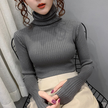 Pile collar high collar bottom sweater lady Nehitch 2019 autumn and winter new foreign air fashion Thickened Stitch Cardiovert