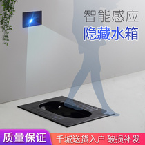 Squatting toilet home toilet color adult squatting pit urinal with cover deodorant toilet induction flush tank squat toilet