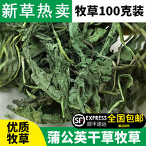 Dandelion hay pasture pet rabbit Chinchow pig rabbit grass summer food 100g clear heat detoxification sterilization