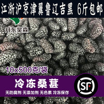 Badminton_frozen Mulberry 500g) fresh frozen Mulberry Mulberry sugarcane Mulberry Shunfeng