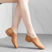 Colorful Flower Dance dance shoes womens soft bottom practice shoes teacher shoes adult ballet shape dance shoes cat claw shoes