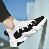 Tide brand breathable Mens shoes 2019 summer new trend Joker white shoes Net red father casual shoes mens sports shoes