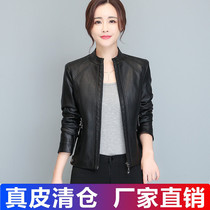 2020 autumn and winter new Haining leather leather clothing womens short slim motorcycle clothes womens stand-up collar leather jacket small jacket