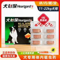 Dog hearts Papet dog in vivo Insect Repellent Drug Method Bullfight Teddy Beat Insect Repellent Pieces 11-22kg Whole Boxed