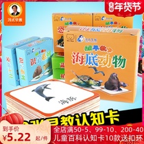 Feng style early education infants and children pinyin digital literacy card 0-3-6 years old whole brain memory view cognitive card