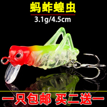 Luya bait freshwater bionic grasshopper cricket insect fake bait Herring Herring carp grass carp carp crucian carp