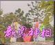 DVD machine version Dragon and Phoenix Shen Xiang] Bai Biao Meng Liping 20 Episodes 3 discs