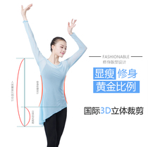 Wuyi Art Library ballet dance clothing Female adult body clothing Classical dance practice clothing Yarn clothing long-sleeved top clothing