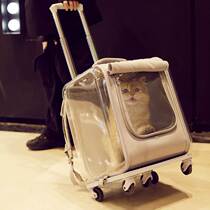 Oversized cat bag trolley box to go out portable pet cat backpack cat cage backpack summer space capsule supplies