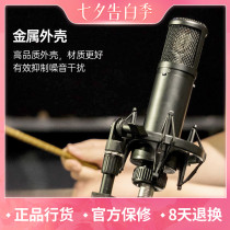 sE ELECTRONICS 2300 Professional recording studio Multi-directional large diaphragm condenser recording microphone