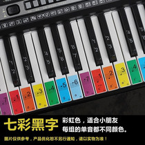 Introduction to notation Piano keys Staff 88 keys Key stickers for students Digital piano Keyboard stickers for color beginners