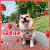 Pet dog Koji bellyband waterproof raincoat summer thin dust-proof anti-dirty anti-cold belly clothes short leg captain