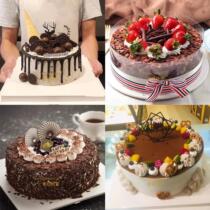 Chocolate fruit petals birthday cake Zhangjiajie City Yongding District Yongding District Cili County cake shop Mulberry