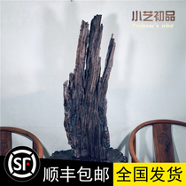 Lightning Strike Date Wood Log Pendulum Pieces Date Tree Logs Old Stock Hand Polished Solid Wood Pendulum Pieces Taoist Lightning Strike Wood