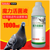 Glad pigeon medicine magic live bacteria liquid enteritis water green immediately fainting pigeon medicine common diseases health care conditioning