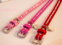 Super beautiful shimmering coldly ~~ pet collar dog collar pet necklace Teddy collar dog collar