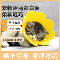 Pet Elizabeth ring cat collar puppy lap lap dog neck ring neck ring scarf