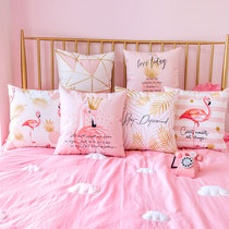 Nordic pillow hipster Flamingo pillow ins pillow car sofa pillow cushion living room pillow pillow