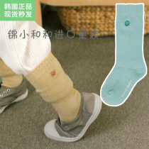 Now Jin Xiaohe and amber Korean Childrens clothing Girls winter socks Wool material embroidery bear flower embellishment