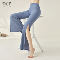 Wide leg dance pants female modern dance practice suit pants body training costume Chinese classical dance teacher Latin