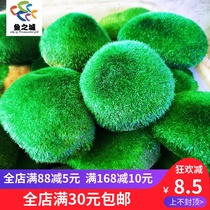 Fish City green algae stone emulation green algae stone fish tank made of green algae turquotstone fish tank building with exclusive green algae stone imitation