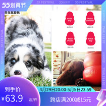 Cub US imports KONG Puppy toys Leaky Gourd Bite Toy Kirky Grindle Training Dog Toy