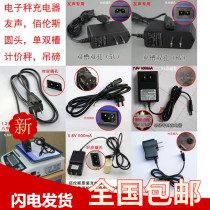 Electronic weighing Charger power cord bench battery 6V4V5V7V9V friendly voice versatility