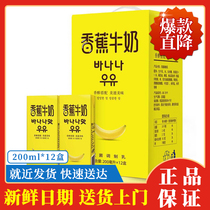 New Hope Banana Milk 200ml * 12 boxes of gift boxes of dairy products Non-drinks 4 pieces# XF5Z#