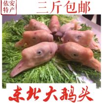 Northeast rural free-range loose food feeding stupid goose goose head fresh frozen 500 grams full of three pounds