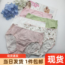 Preferential Embry E-BRA ladies underwear 5 bars breifs KP1068F KP1069F KP1039F