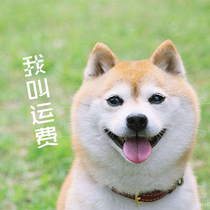 TOUCH MISS Tea Town freight postal fee difference special auction and other price difference