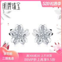 Mintag Jewelry Platinum PT950 (cherry blossom) Ear Nail to the BFH0011 Platinum Association Recommended