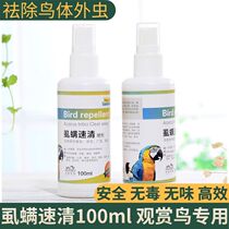 Parrots starlings worms mites water green fried hair diarrhea bird supplies phosphorus calcium vitamin Bird