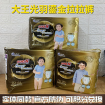 Great king light plume gold cheerpants ultra-thin breathable absorbent urine not wet L32XL28 XXL20