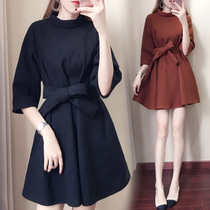 Small hairy dress female 2019 autumn and winter new Korean fashion winter skirt temperament thickened base skirt