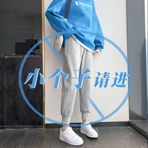 Gray sweatpants womens small loose bunches feet nine casual cotton pants autumn slim student Haren pants