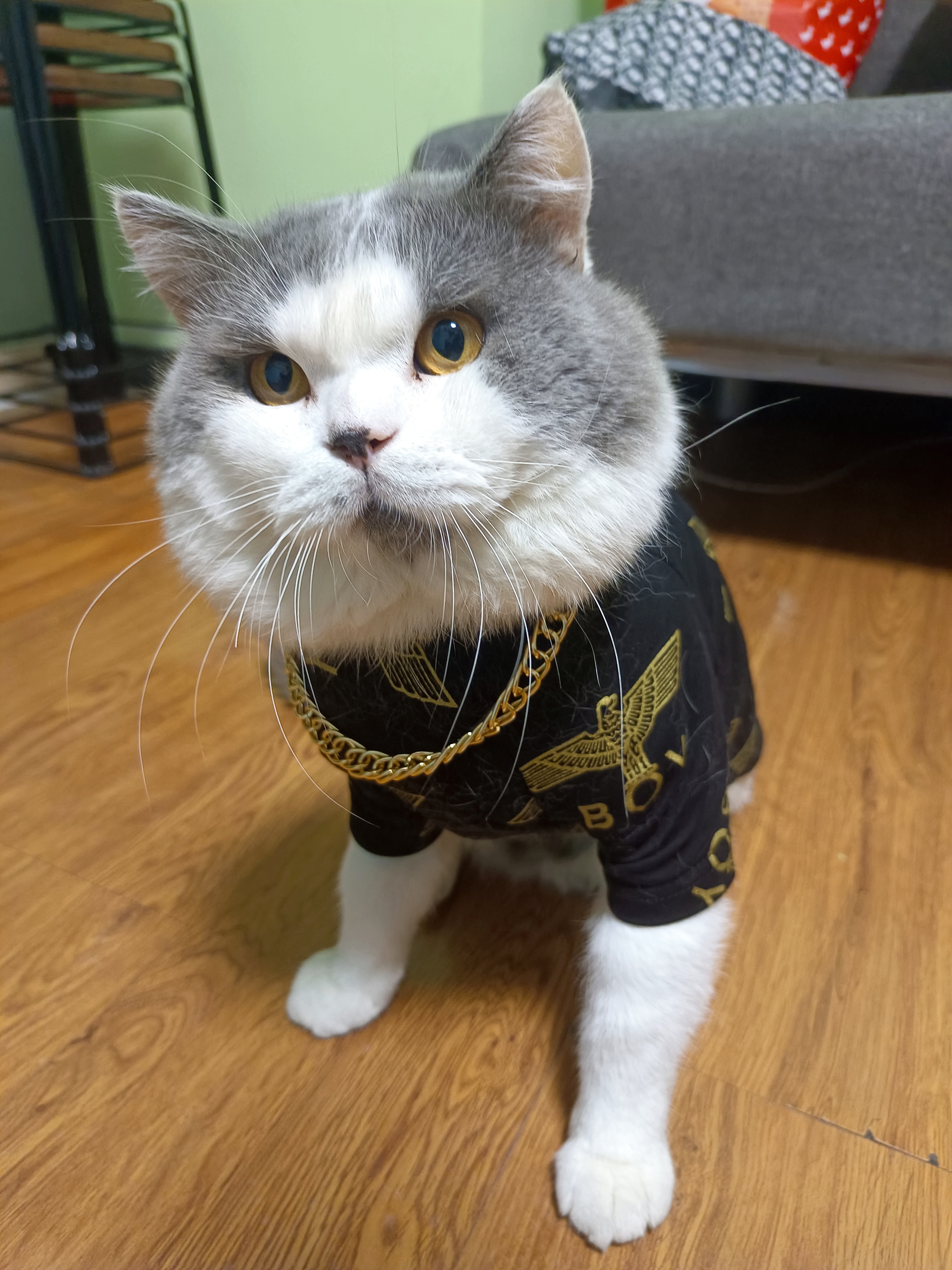 着後レビューで 送料無料】 【王猫さま】ご購入品◇Xmas その他