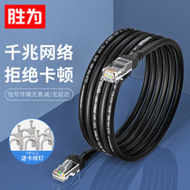 Shengwei Class 6 network cable Gigabit network cable cat6 broadband computer router connection cable 2 3 5 10m network cable