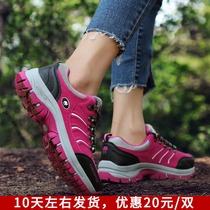 Climbing Shoes Hiking Shoes Women Outdoor Shoes Spring Autumn Mens Breathable Sneakers Waterproof Non-slip Abrasion Resistant Climbing Mountain Tourist Shoes