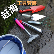 Chai tools to dig sea oysters special clam hoe dig crab childrens razor clam set oyster small hoe shell