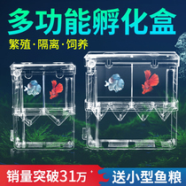 Peacock breeding box fish tank non-acrylic isolation box extra large spawning hatchery small fish seedling young big fish