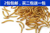 2 rat tortoise food Brazil tortoise pet tortoise food bulk breadworm dry hamster snack 50g