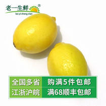 (Old one fresh) fresh fruit fresh yellow lemon South Lime non lemon 500g